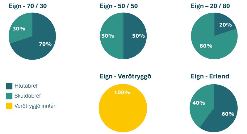 Nýjar fjárfestingarleiðir 2026